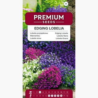 Männertreu Mischung - Leicht zu kultivieren, lange Blütezeit, ideal für Beete und Behälter - Lobelia erinus