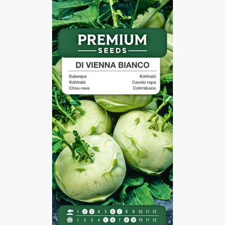 Kohlrabi Di Vienna Bianco - Zarter Geschmack, Ernte nach 40-45 Tagen