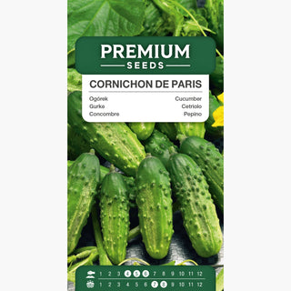 Gurke Cornichon de Paris - Ertragreich, schlank, ideal für Cornichons