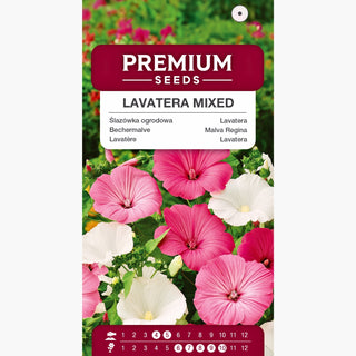 Bechermalve Mischung - Große weiße und rosafarbene Blumen, ideal für hohe Beete - Lavatera trimestris