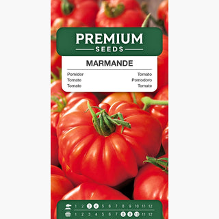 Tomate Marmande - Süße, fleischige Früchte, sehr ertragreiche, frühe Sorte