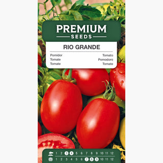 Tomate - Rio Grande - Länglich, Fest, Ideal Zum Einkochen