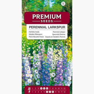 Stauden-Rittersporn Mischung - Mehrfarbige Blütenstände bis 200 cm, frostbeständig - Delphinium x cultorum