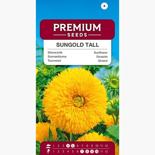 Sonnenblumen Sungold Tall - Atemberaubend volle Blumen: flauschig und gelb! - Helianthus annuus