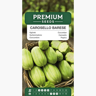 Gurkenmelone - Carosello Barese - Italienische Sorte, Zart Und Aromatisch