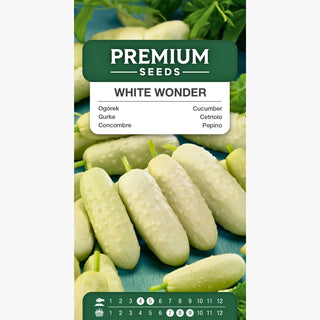 Gurke White Wonder - Super ertragreich, schmackhaft und einfach anzubauen, perfekt zum Einlegen