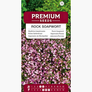 Rotes Seifenkraut - Duftende Blüten In Pastellfarben - Saponaria ocymoides