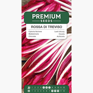 Blattzichorie Rossa di Treviso - Feiner Geschmack, ideal roh und geschmort - Cichorium intybus var. foliosum