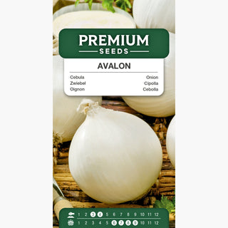Zwiebel Avalon - Zart und mild – hervorragender Geschmack für jedermann - Allium cepa