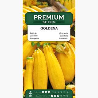 Zucchini Goldena - Saftige Früchte, reich an Vitaminen, perfekt für Aufläufe