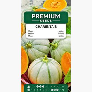 Melone Charentais - Aromatisch und erfrischend, einfach anzubauen - Cucumis melo