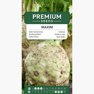 Knollensellerie Maxim - Späte Ernte, aromatisches und zartes Fruchtfleisch, widerstandsfähig