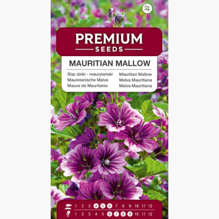 Mauretanische Malve - Dekorativ, Tiefviolett - Malva sylvestris L. var. mauritiana