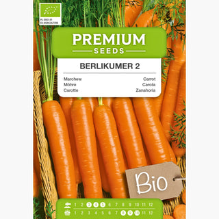 BIO Möhre Berlikumer 2 - Ertragreiche Und Robuste Bio-Sorte