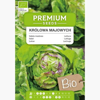 BIO Salat Maikönig - Frühreif, Zartbuttrig, Naturbelassen