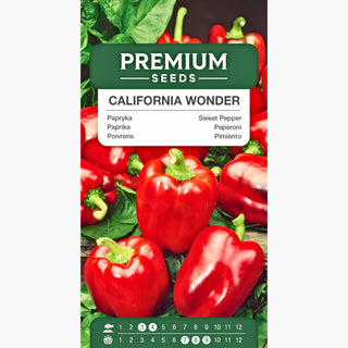 Paprika - California Wonder - Rot, süß, einfach zu kultivieren, ideal für Salate und Füllungen