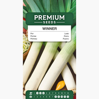 Porree Blauwgroene Winter - Ideal für die Ernte, ausgezeichnet für Suppen und Rohkostsalate