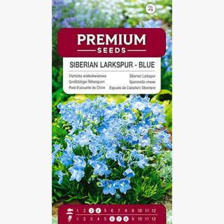 Großblütiger Rittersporn blau - Intensive Farbe, lange Blütezeit, widerstandsfähig und robust - Delphinium grandiflorum