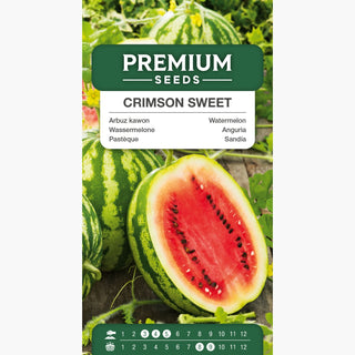 Wassermelone Crimson Sweet - Gigantische, süße Früchte, ideal für Salate - Citrullus lanatus