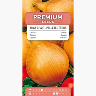 Zwiebel Ailsa Craig - Riesige, süße Zwiebeln für Feinschmecker - Allium cepa