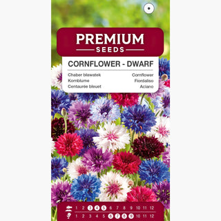 Kornblume - Zwerg Mischung - Charmanter Landhausstil - Centaurea cyanus