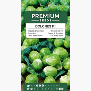 Rosenkohl Dolores F1 - Dürretolerant, hervorragend für Suppen und Salate