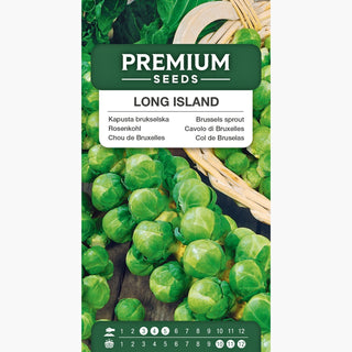 Rosenkohl Long Island - Bis zu 40-60 Röschen an einer Pflanze, reichliche und schnelle Ernte
