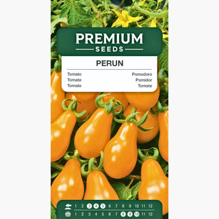 Tomate Perun - Hoher Ertrag, Spät Reifend, Besonders Schmackhaft