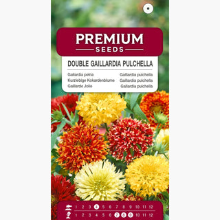 Kurzlebige Kokardenblume - Gefüllte Mischung - Gefüllte, Kräftig Gefärbte Blüten - Gaillardia pulchella