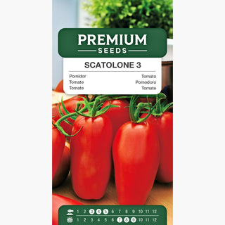 Tomate Scatolone 3 - Super ertragreich, voller Geschmack