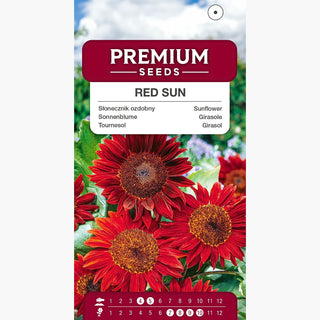 Sonnenblume Red Sun - Dekorativer Riese, schnelles Wachstum, lang anhaltende Blüte - Helianthus annuus