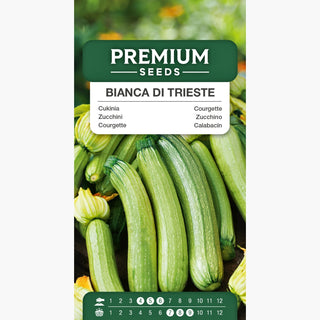 Zucchini - Bianca di Trieste - Ausgeprägter Geschmack, einfache Kultivierung, gesunde und schmackhafte Wahl