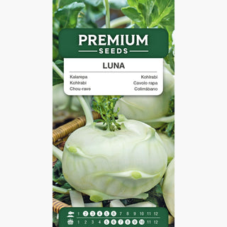 Kohlrabi Luna - Zartes, saftiges Fruchtfleisch, Ernte nach 75 Tagen