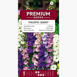 Rittersporn Pacific Giant Mischung - Reichliche Blüte, kräftige Farben, ausgezeichnet für Schnittblumen - Delphinium x cultorum