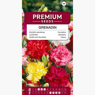Landnelke - Grenadin Mischung - Intensive Farbmischung - Dianthus caryophyllus