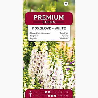 Fingerhut - Weiße - Besonders Dekorative Form Und Höhe - Digitalis purpurea