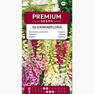 Fingerhut - Gloxiniaeflora Mischung - Üppige Blütenpracht, Natürlicher Charme - Digitalis purpurea