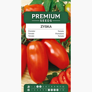 Tomate Zyska - Einzigartiger Geschmack und Aroma, super Ertrag, ideal für Verarbeitung