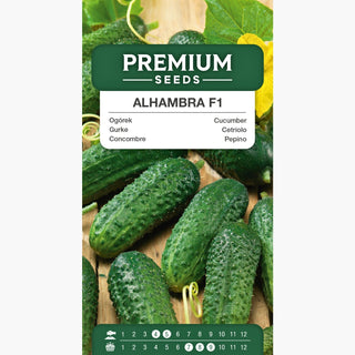 Gurke Alhambra F1 - Früh, krankheitsresistent, ohne Bitterkeit
