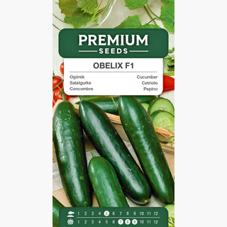 Salatgurke Obelix F1 - Freiland, mittel früh, ideal für Salate und Sandwiches