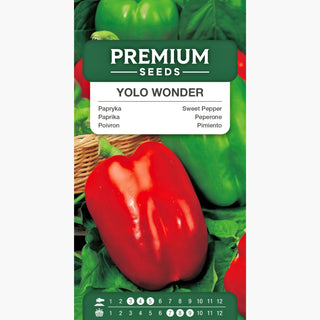 Paprika Yolo Wonder - Super ertragreich für Tunnel und Freiland, intensiver Geschmack und Farbe