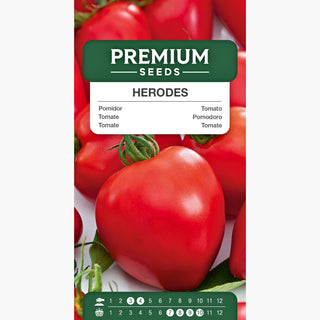 Tomate Herodes - Kräftiger Wuchs, Hoher Ertrag, Große Früchte
