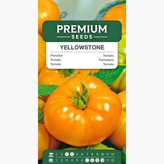 Tomate Yellowstone - Sehr leckere und aromatische Früchte, einfacher Anbau