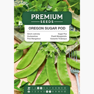 Zuckererbse - Oregon Sugar Pod - Kompakt Wachsende, Pflegeleichte