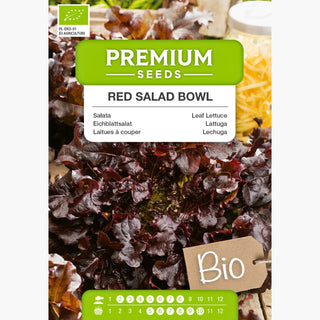 BIO Eichblattsalat Red Salad Bowl - Dekorativ, Knackig