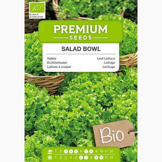 BIO Eichblattsalat - Salad Bowl - Salatgenuss In Bio-Qualität