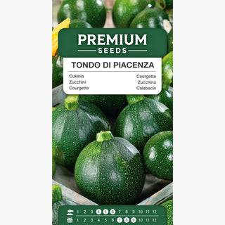 Zucchini Tondo di Piacenza - Kugelförmig, ideal zum Braten und Schmoren