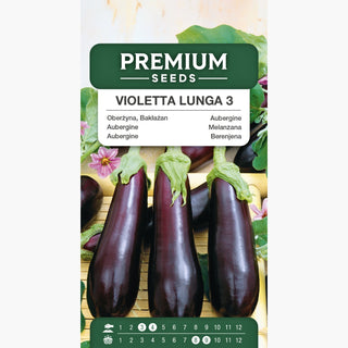 Aubergine Violetta Lunga 3 - Intensiv violett, schmackhaft und kalorienarm
