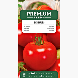 Tomate Bohun - Hervorragender Geschmack, einfacher Anbau ohne Abstecken