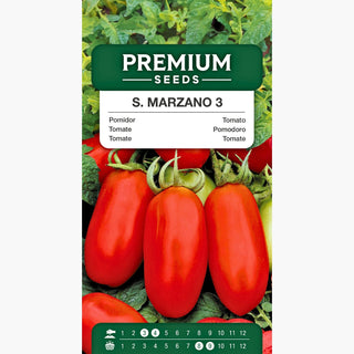 Tomate S. Marzano 3 - Hervorragender Ertrag und einzigartiges Aroma, ein Hit